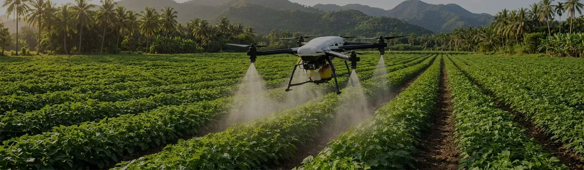 Utilité des drones